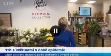 bellesfleurs media.png